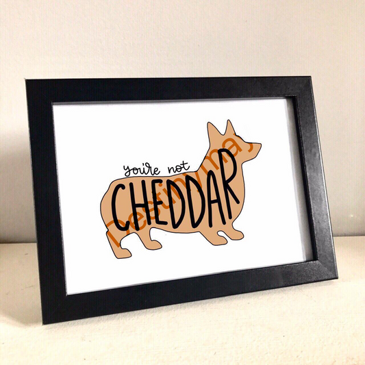 Brooklyn 99 no eres estampado Cheddar